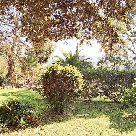 La Suite Costabella A Hyeres-Les-Palmiers מראה חיצוני תמונה
