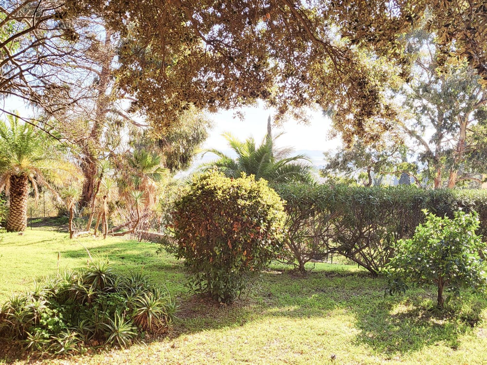 La Suite Costabella A Hyeres-Les-Palmiers מראה חיצוני תמונה